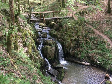 Rauschkümpel Enkirch