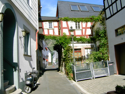 Wolf, im Dorf