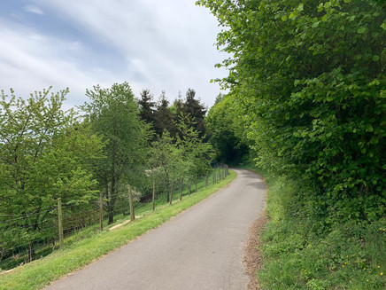 Umgeben von Wald und Wiesen