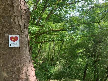 Wegbeschilderung entlang des Weges