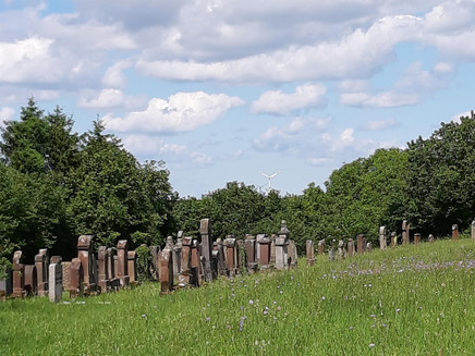 Historischer Rundweg - Station 9 (1)