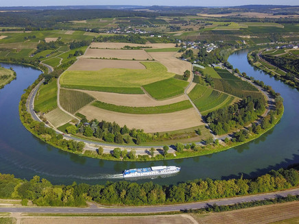 Wehrer Rosenberg (2)