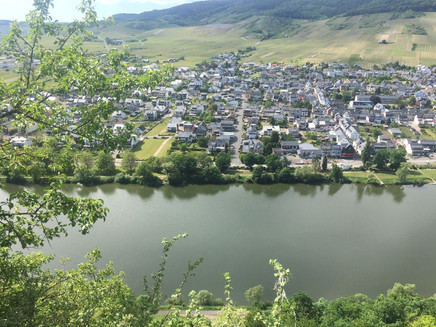 Blick vom Wolfer Kloster