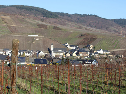 View of the wine village Kinheim