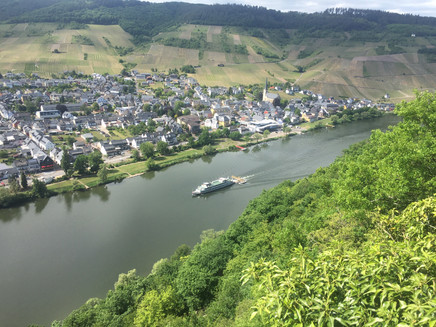 View from Wolf Monastery Ruins to the wine village of Kröv