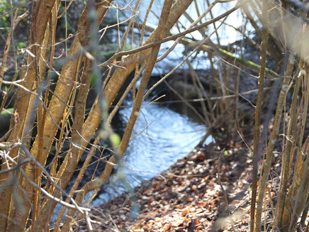 Fire ponds on the Moselsteig side route Kluckertspfad