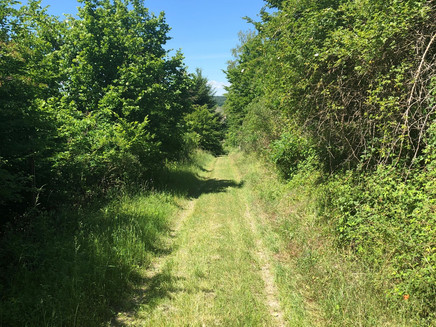 Wanderweg