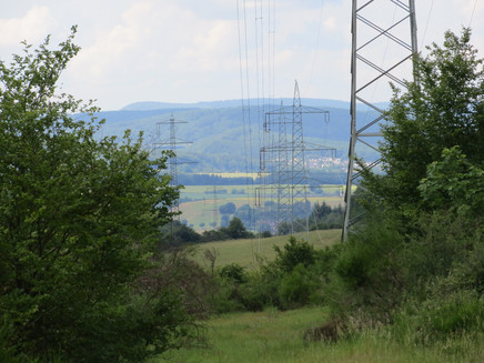 Blick in die Wittlicher Senke