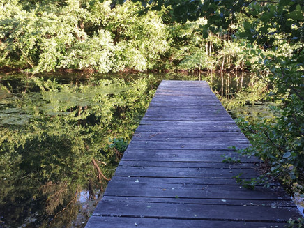 Steg am Teich im Großbachtal
