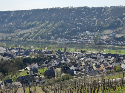 Blick vom Pavillon