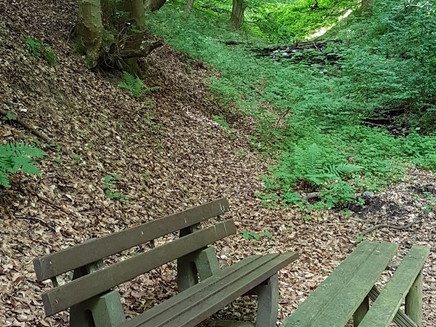 Rastplatz im