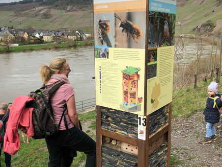 die Zippammer erklärt...