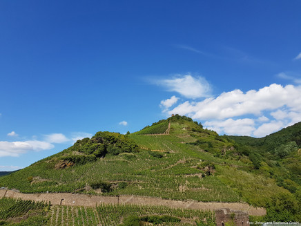 Blick hinauf zum Collis Turm
