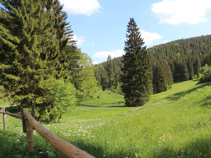 Wandern am Rennsteig