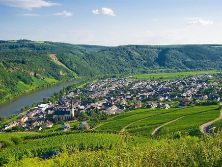 Kröv on the Moselle