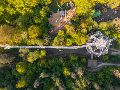 Harz treetop path top view