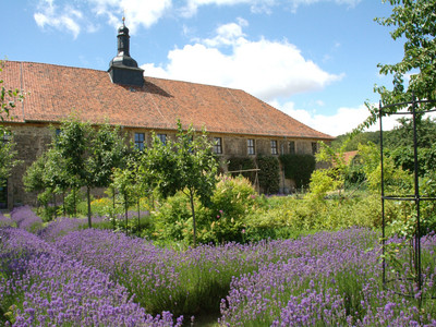 Monastery Michaelstein - View of the vegetable gardens