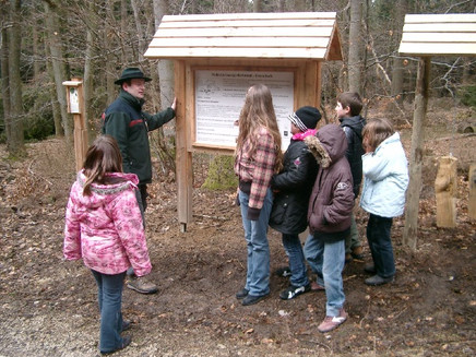 Führung auf dem Walddistelpfad