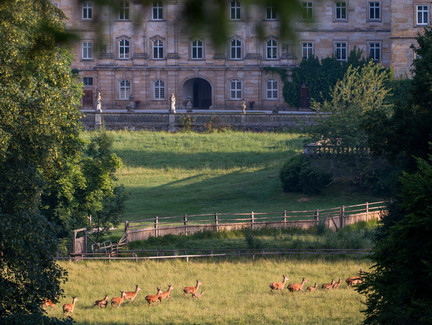 WildPark und Schloss Tambach