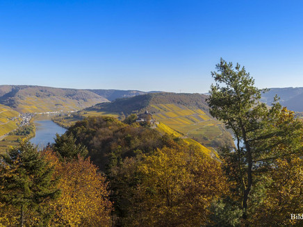 View from Prinzenkopfturm