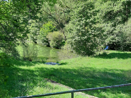 Teich im Ahringstal