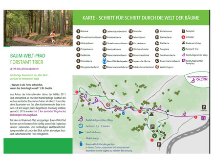 Flyer Baum-Welt-Pfad inkl. schematischer Wegeführung