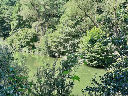 Teich im Ahringstal