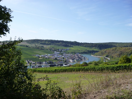 Blick vom Felsenweg auf die luxemburgische Moselseite