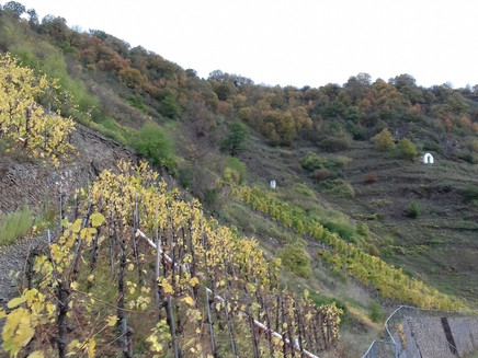 Auf dem Kreuzweg steil bergauf zum Bleidenberg