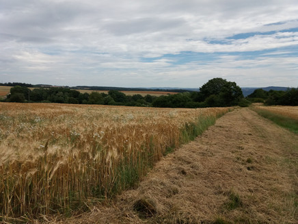 Weiter Blick auf dem Klottener Berg