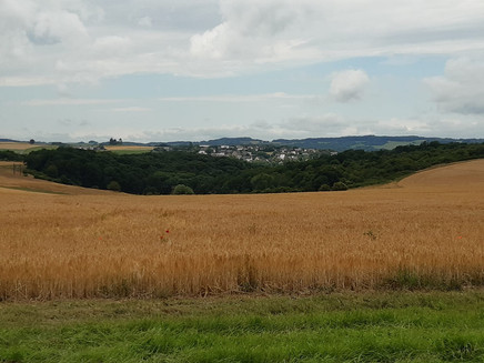 Ausblick vom Enkircher Berg auf Starkenburg