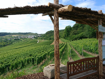 Elli's und Rosi's kleine Jause (6)