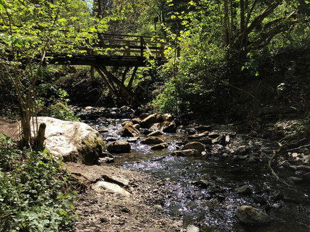 Die Riveris unterhalb der Talsperre am Tretbecken