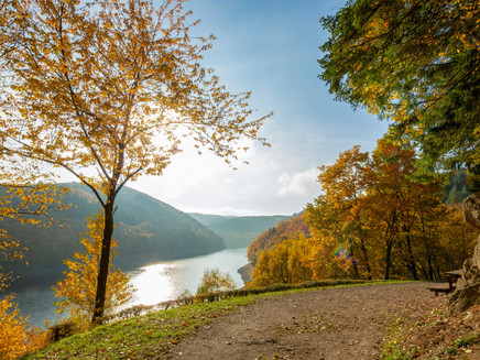 Herbst an der Talsperre