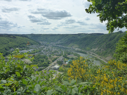 Blick vom Rastplatz am Schwedenkreuz ins Moseltal Richtung Cochem