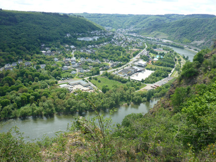 Steilhang zur Mosel am Rastplatz am Schwedenkreuz