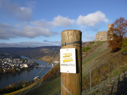 Blick auf Burg Landshut und das Moseltal mit Bernkastel-Kues
