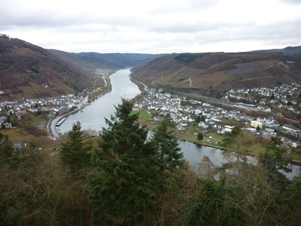 Aussicht vom Aussichtsturm Prinzenkopf auf Bullay und Alf