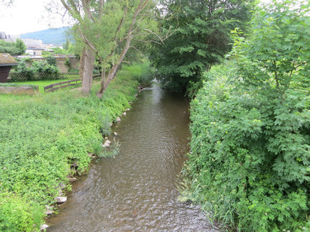 Alfbach bei Bengel