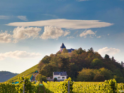 View of the Marienburg