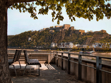 Blick vom Rheinkavalier