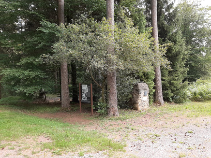 Sites of inhumanity in the forest near the Hinzert memorial