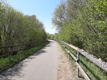 The Ruwer-Hochwald cycle route on the section up to Reinsfeld