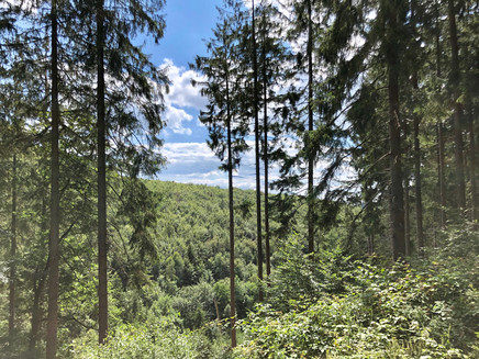 Wide view over the Misselbachtal