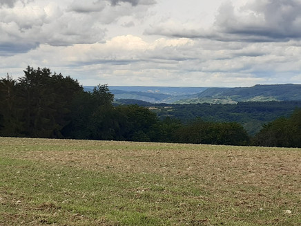 Blick vom Enkircher Berg bis Ürzig