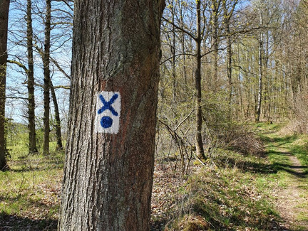 Auf dem Saar-Schlesien-Fernwanderweg