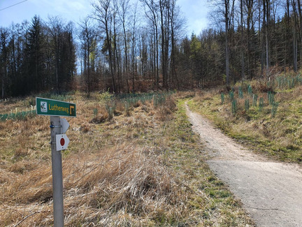 Auf dem Lutherweg zur Veste-Coburg