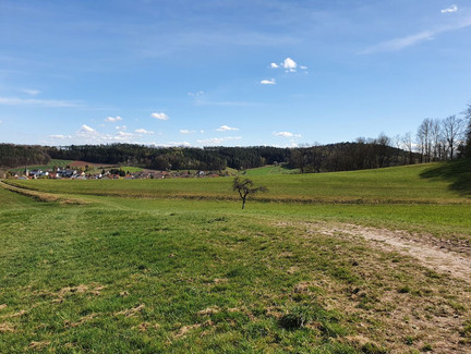 Seidmannsdorf mit dem Buchberg im Hintergrund