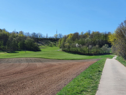 Blick auf den Eckardtsberg mit dem Sendemast