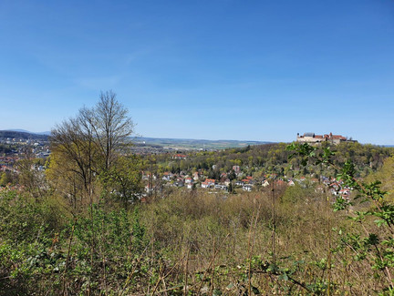 Blick vom Eckardtsturm zur Veste Coburg